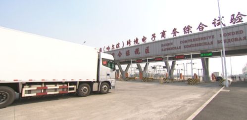 幸福冰城丨加强进口冷链食品疫情防控 来源不明的进口冷链食品需依法查处